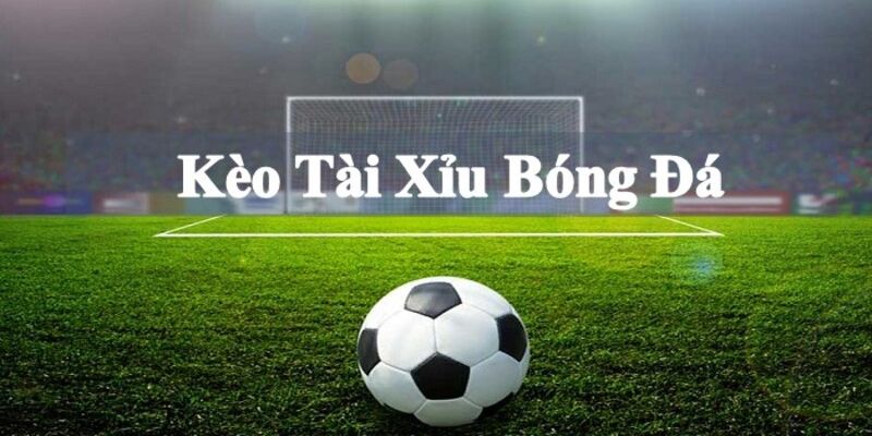 Tổng quan các thông tin chi tiết đặc biệt về Kèo tài xỉu 