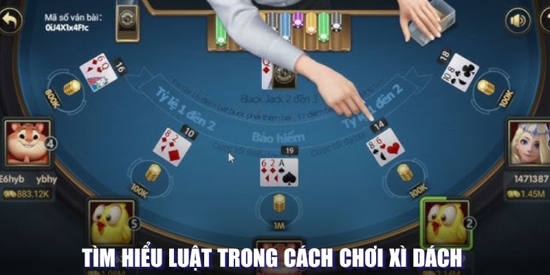 Tìm hiểu luật trong cách chơi xì dách mang lại hiệu quả